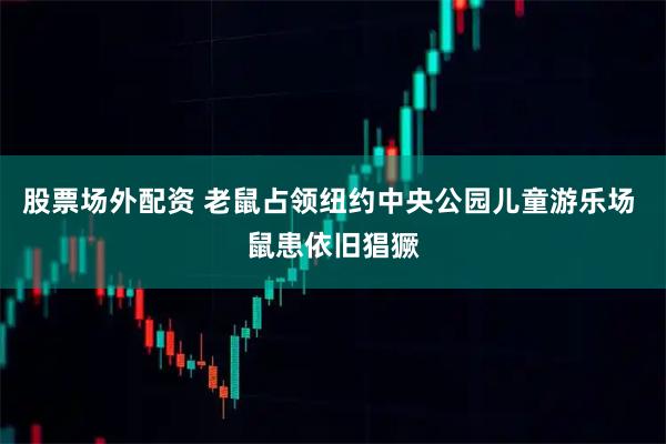 股票场外配资 老鼠占领纽约中央公园儿童游乐场 鼠患依旧猖獗