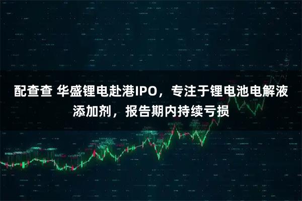 配查查 华盛锂电赴港IPO，专注于锂电池电解液添加剂，报告期内持续亏损