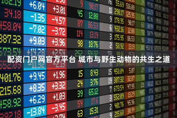 配资门户网官方平台 城市与野生动物的共生之道
